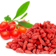 chine ningxia Sun Dried Goji Berry